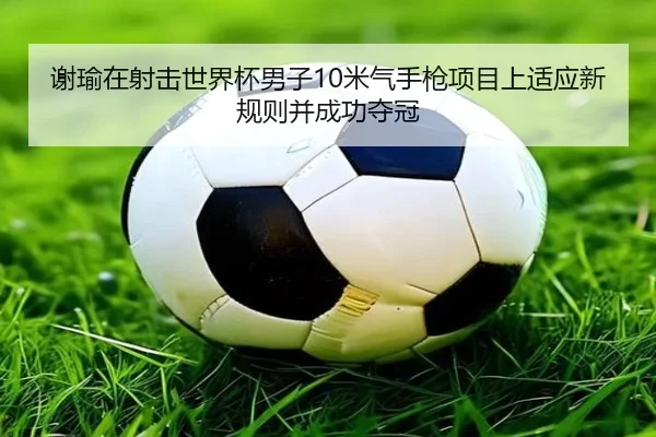 xie-yu-zai-she-ji-shi-jie-bei-nan-zi-mi-qi-shou-qiang-xiang-mu-shang-shi-ying-xin-gui-ze-bing-cheng-gong-duo-guan-3-293.jpg