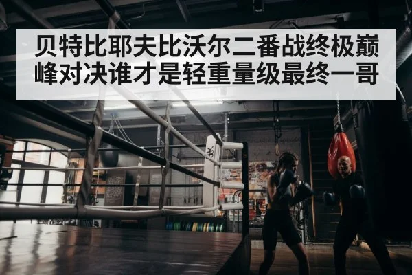 贝特比耶夫比沃尔二番战终极巅峰对决谁才是轻重量级最终一哥