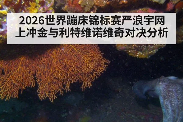 2026世界蹦床锦标赛严浪宇网上冲金与利特维诺维奇对决分析